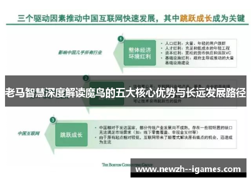 老马智慧深度解读魔鸟的五大核心优势与长远发展路径 老马智慧深度解读魔鸟的五大核心优势与长远发展路径